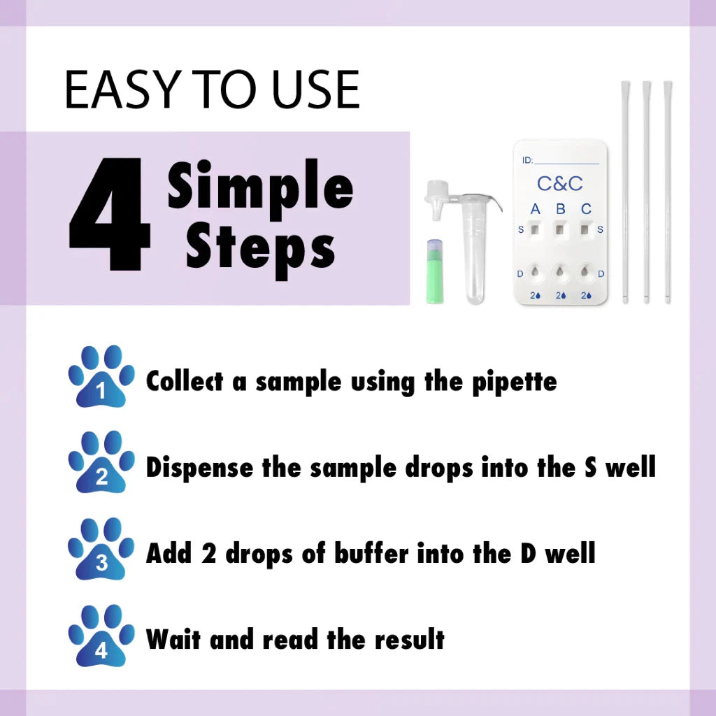 C&C Feline Blood Typing Test (1 Test Kit) – Quick, Accurate, Easy